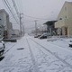 おお寒い・・大雪凍える広島のイメージ